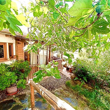 El Encanto Monachil Exterior foto